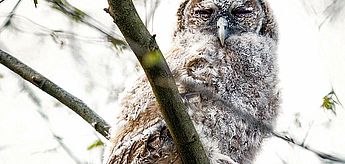 Fotoausstellung "Die leisen Wunder der Natur" von Fotografin Heike Reineke