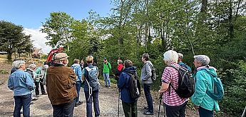Wanderung auf dem Furlbachpfad