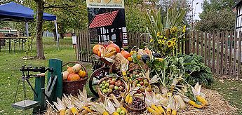 Tradition lebt auf: Kartoffel- und Dreschfest auf dem Heimathof Leopoldshöhe