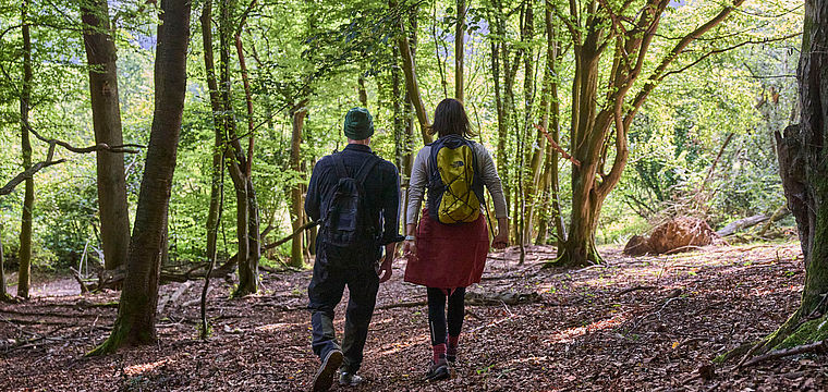 Wanderung im goldenen Herbst